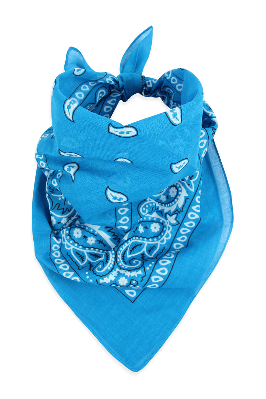 Paisley Print Bandana