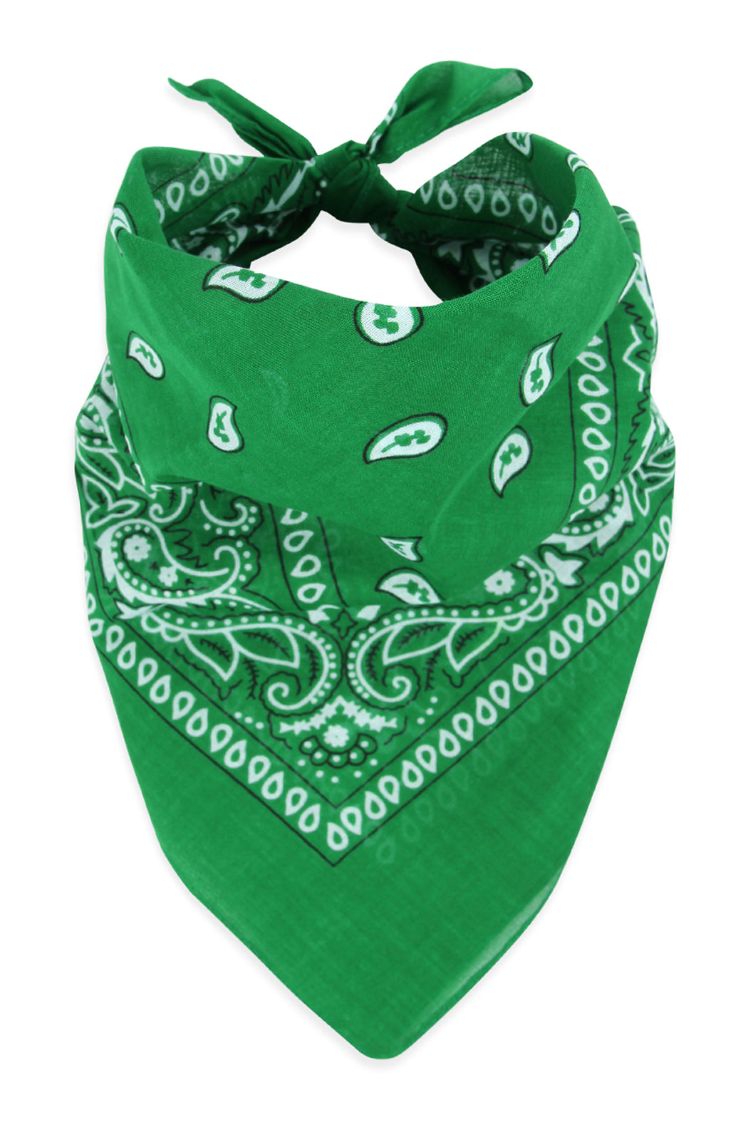 Paisley Print Bandana