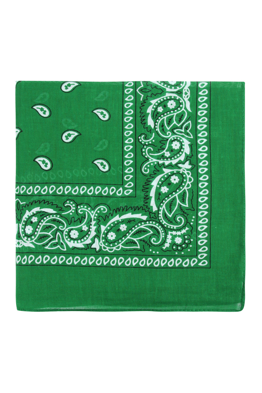 Paisley Print Bandana