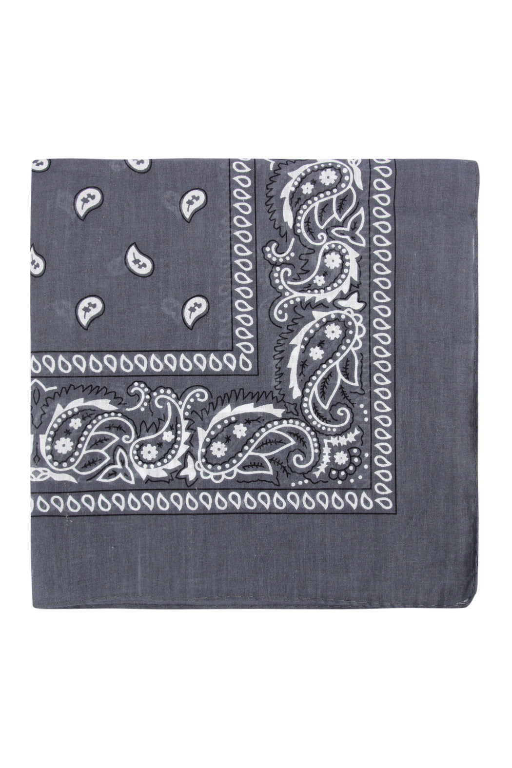 Paisley Print Bandana