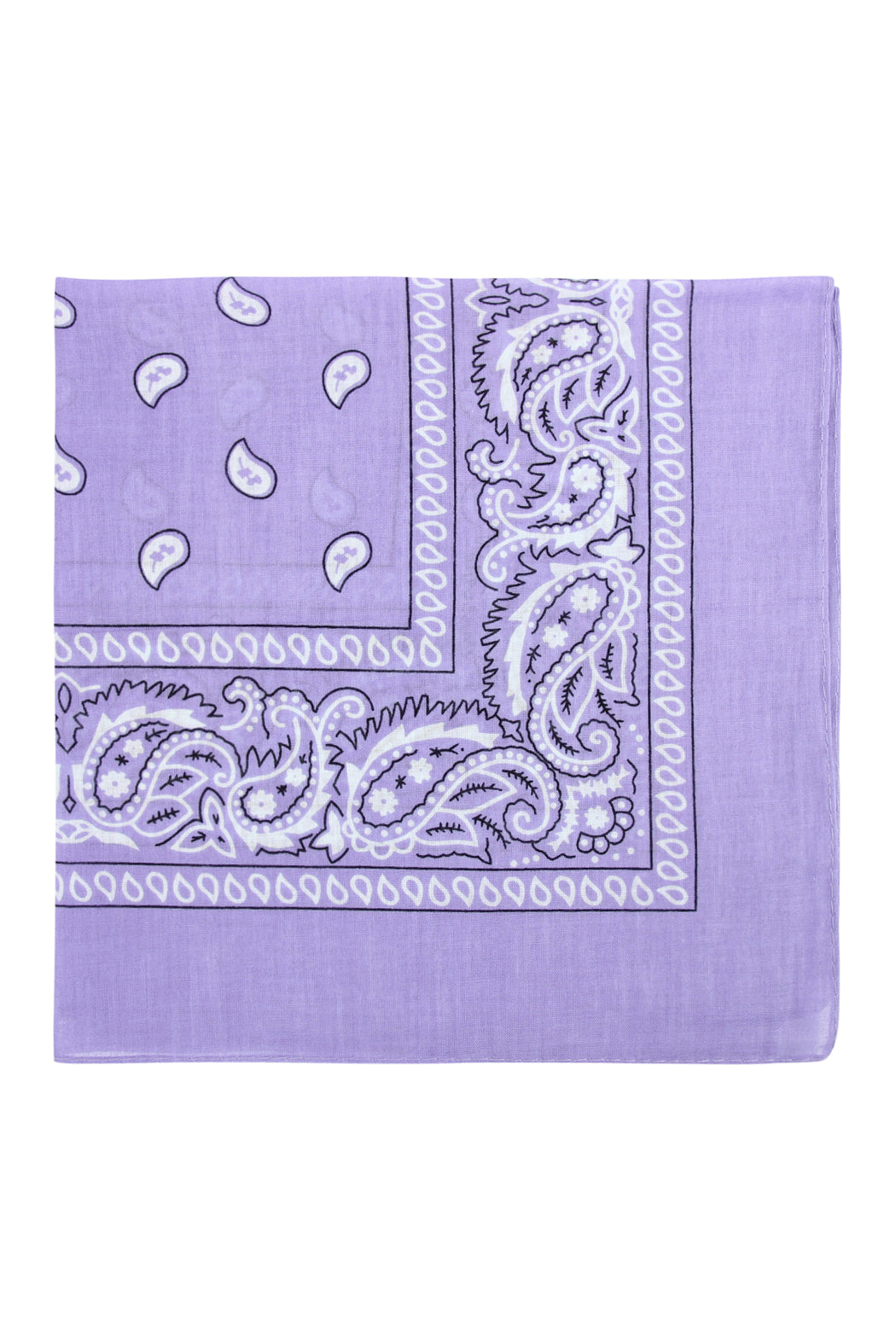 Paisley Print Bandana