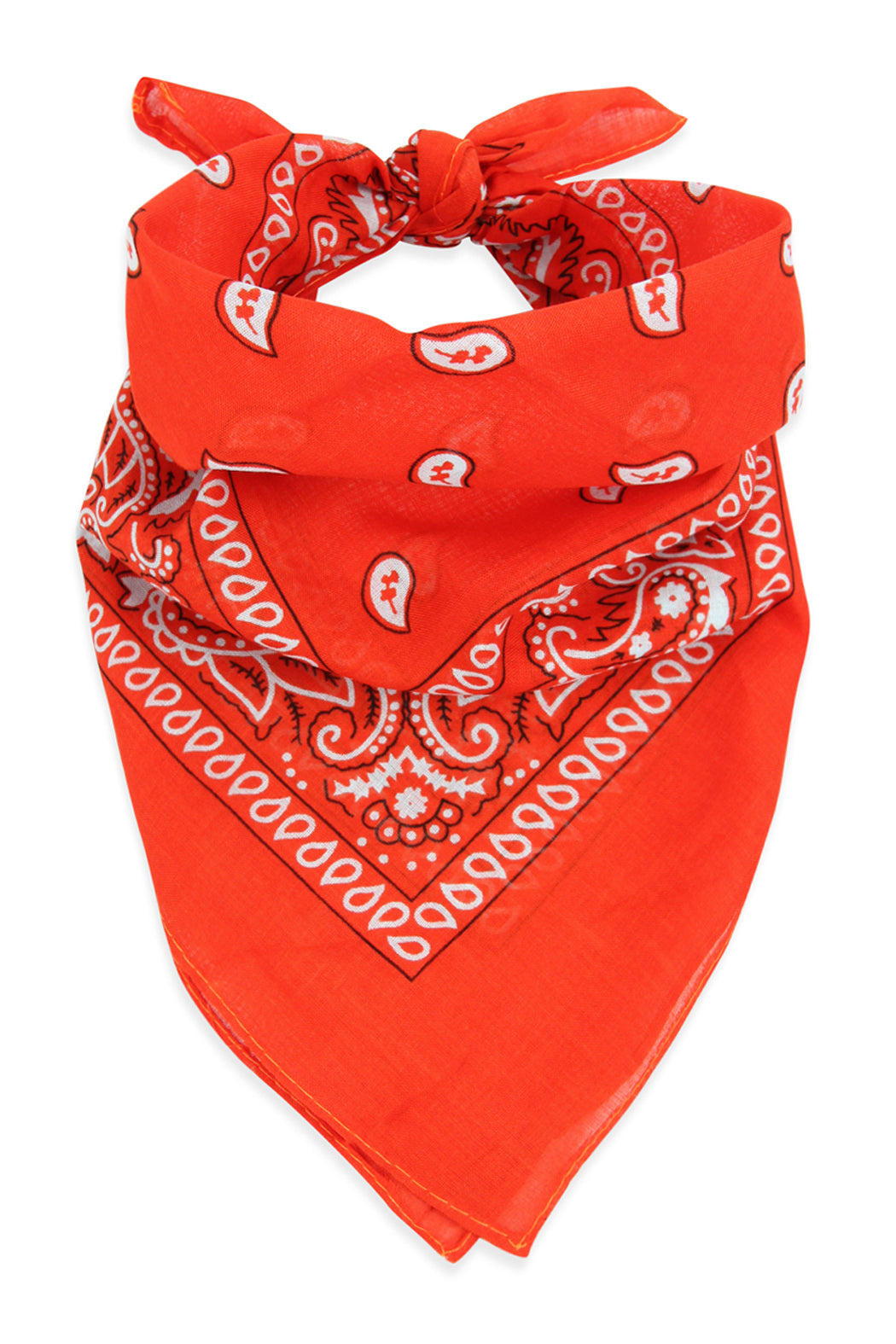 Paisley Print Bandana