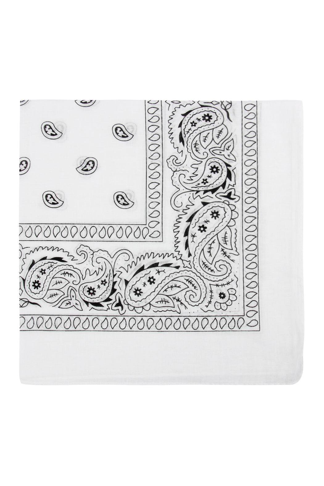 Paisley Print Bandana